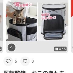 猫用キャリーリュックの画像