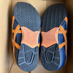 asicsトレーニングシューズ 29cmの画像