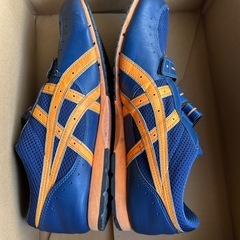 asicsトレーニングシューズ 29cmの画像