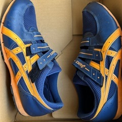 asicsトレーニングシューズ 29cmの画像