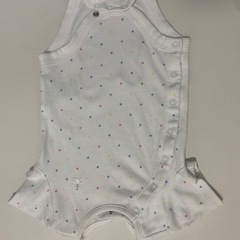 GAP くまけつの画像