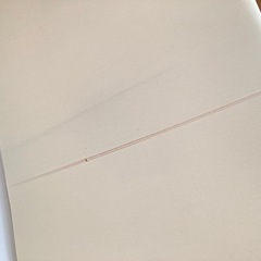 トゥルースリーパー　の画像