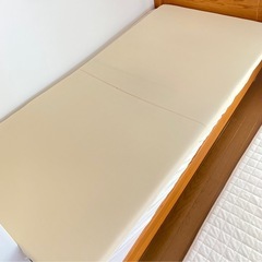 トゥルースリーパー　の画像