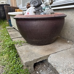 壺　鉢　植木鉢　の画像