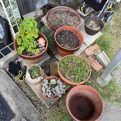 壺　鉢　植木鉢　の画像
