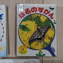 幼児用図鑑の画像