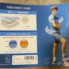 ☆新品☆　冷触感　枕カバー&敷パットセットの画像