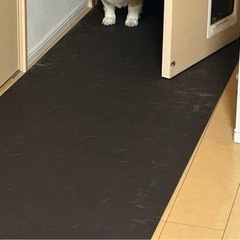 ペットマット廊下用の画像