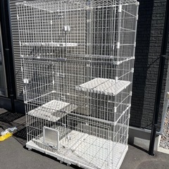 猫用ゲージ (大型)の画像