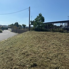 剪定作業の集草のお手伝いを募集致します。の画像