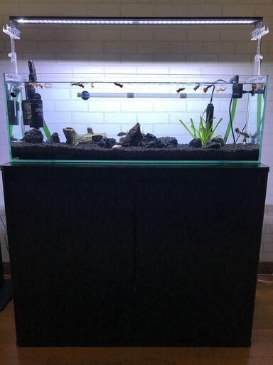 「リビングがモデルルームに!」とにかくフルセット!!GEX900スリム水槽、専用台など複数点