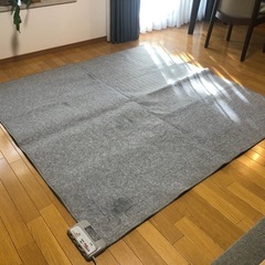 電気カーペット　決まりましたの画像