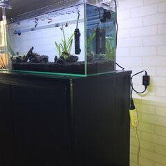 「リビングがモデルルームに!」とにかくフルセット!!GEX900スリム水槽、専用台など複数点の画像