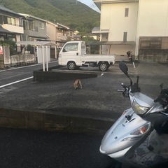125ccの原付を貸してください　