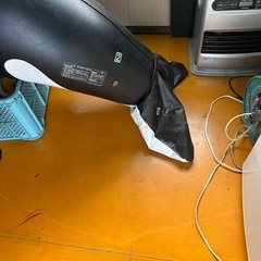 浮き輪　ボード　シャチ180センチの画像