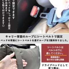 新品同様【RADICA ドライブキャリー】S　の画像