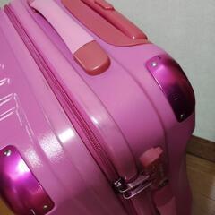 【差し上げます】旅行用キャリーの画像