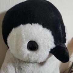 🌼巨大ペンギン🐧ぬいぐるみの画像
