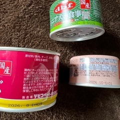 犬用 缶詰め セットの画像