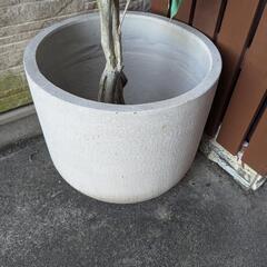 観葉植物　フェイクグリーンの画像