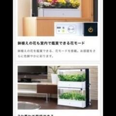 水耕栽培キット 定価35,000円程度の画像