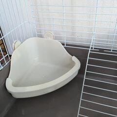 フェレット　ゲージ　サークルの画像