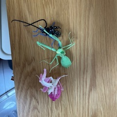 虫セットの画像