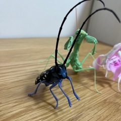 虫セットの画像