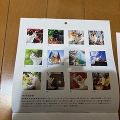 2025年カレンダーの画像