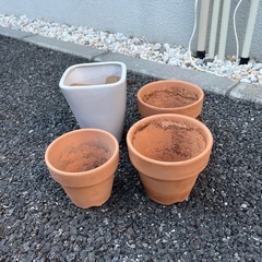 鉢4個セットの画像