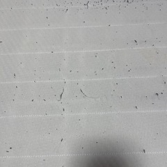 シングルベッド マットレスと足付  の画像