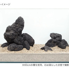 60センチ全面曲げガラス水槽（高さハイタイプ）浅間溶岩石約10キロ　の画像