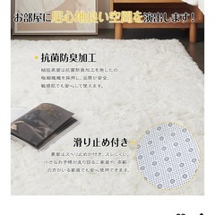 【譲渡先決定】シャギーラグの画像
