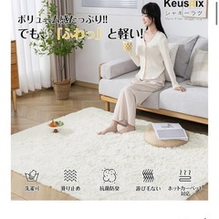 【譲渡先決定】シャギーラグの画像