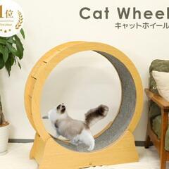 キャットホイールの画像