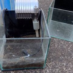 水槽と大磯と砂の画像