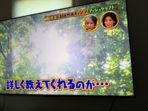 4K液晶テレビREGZA  65インチ