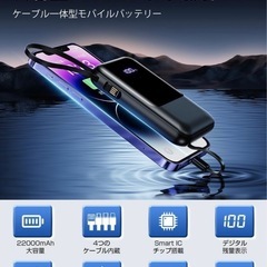 処分前につき値下げします🙇‍♀️モバイルバッテリーの画像