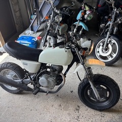 HONDA エイプ50】AC16 4スト　ホワイト　ミッション　MT 50ccの画像