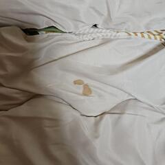 こたつの画像