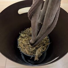 人工樹木の画像