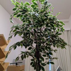 人工樹木の画像