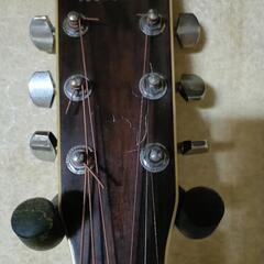 Morris　モーリス　アコギの画像