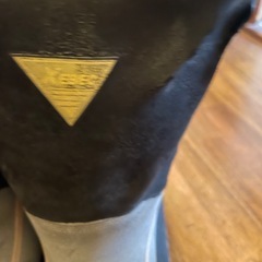 安全長靴の画像