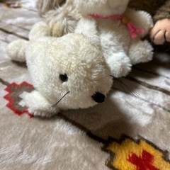 ぬいぐるみ　まとめてあげますの画像