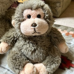 ぬいぐるみ　まとめてあげますの画像