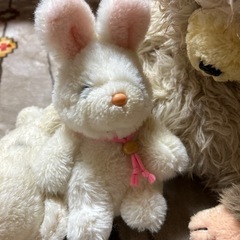 ぬいぐるみ　まとめてあげますの画像