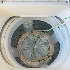 2025年製／洗濯機  東芝6.0kgの画像
