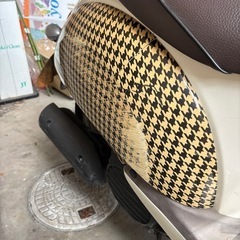 HONDAスクーピーの画像