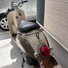 HONDAスクーピーの画像